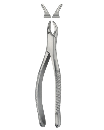 Tooth Forceps for Children, American Pattern